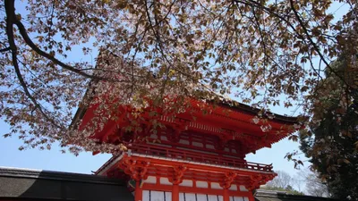 京都でおすすめの子宝神社6選!子授け祈願できるのはどこ?ご利益や歴史なども紹介