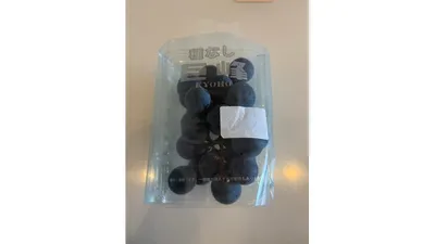 スーパーで買ってきた種なし巨峰。この季節はお手頃価格に