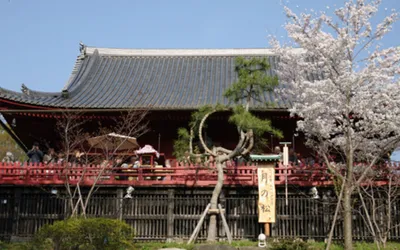 東京でおすすめの子宝神社7選!子授け祈願できるのはどこ?ご利益や歴史なども紹介
