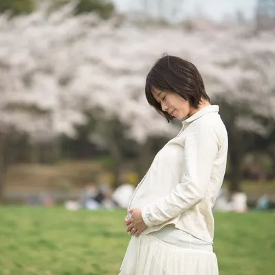 「胎盤(たいばん)」の位置はどこにある?