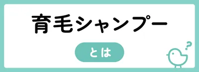 育毛シャンプーとは?発毛・育毛効果はできる?