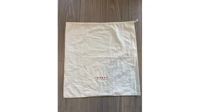 アパレル商品に付いていた巾着(縦約49cm×横約48cm、マチ無し)を専用カバー代わりに