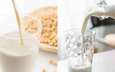 妊婦は豆乳を飲んでもいい?妊娠中に豆乳を飲むときの注意点やメリットについて解説