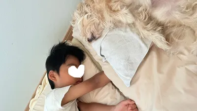 現役保育士が教える！今日からお家でできる感染対策４選