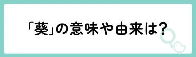「葵」の意味や由来は？
