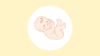妊娠35週(9ヶ月)の妊婦・胎児の様子|過ごし方や気になる症状