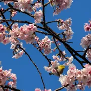 保育園？幼稚園？迷ったら読む！共働き世帯の入園体験談