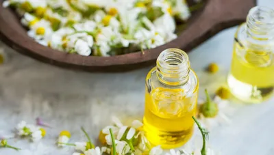 植物由来のオイル配合の「オイルイン」タイプを選ぶ