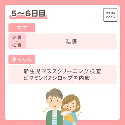 5~6日目