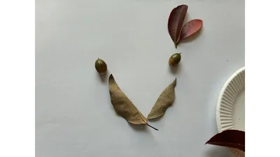 落ち葉とどんぐりで作ったうさぎの顔