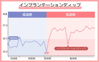 インプランテーションディップの体験談|妊娠超初期の基礎体温や体調はどう変化する?