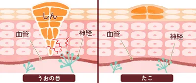 比較02