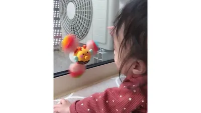おもちゃやボールを追いかける遊び