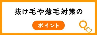 抜け毛や薄毛対策のポイント