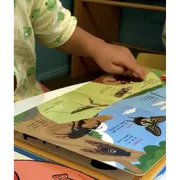 「また同じ絵本？」繰り返し読むことの大切さ｜何度も読んだ息子の成長