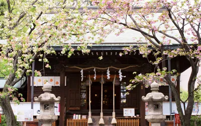 東京でおすすめの子宝神社7選!子授け祈願できるのはどこ?ご利益や歴史なども紹介