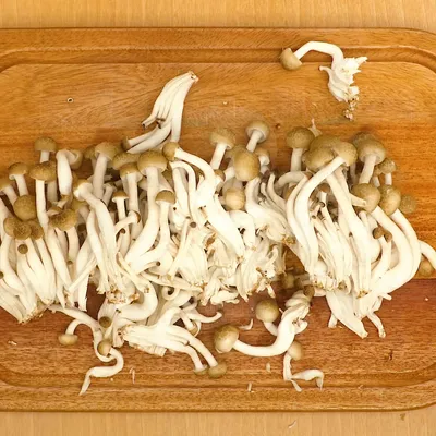しめじ