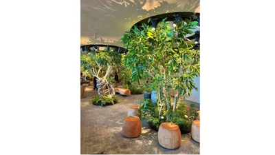 ベビー連れにも安心!この秋オープンしたニュウマン高輪のベビー関連情報