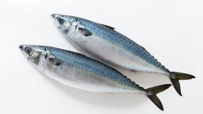 妊婦はさばを食べてもいい?妊娠中にさばを食べるときの注意点やメリットについて解説