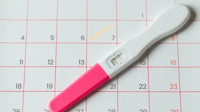 【医師監修】一番妊娠しやすいのは生理後何日目?排卵日の予測方法も解説