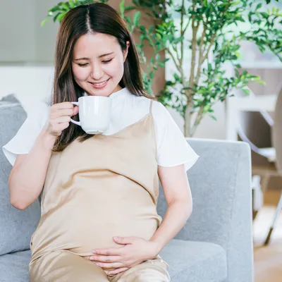 妊娠中は鉄分が大事！貧血対策におすすめの食材やレシピを紹介