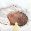 記事サムネイル