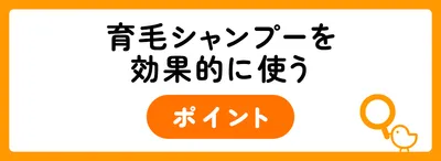 育毛シャンプーを効果的に使うポイント