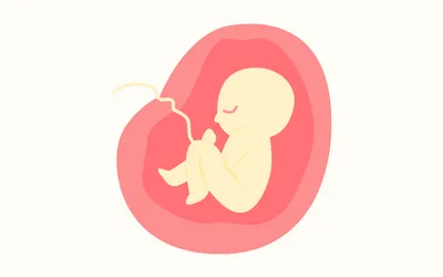 妊婦は昆布を食べてもいい?妊娠中に昆布を食べるときの注意点やメリットについて解説