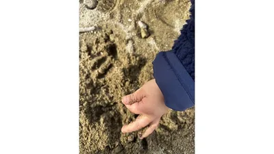 砂の感触を手で楽しむ息子。遊びの中で「やってみたい！」と思えることが大切です