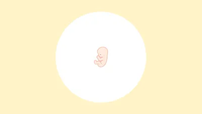 胎児とは?受精卵からどう変わる?意味や定義のほか時期別の成長過程も解説!