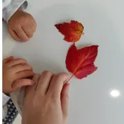 イヤイヤ期は“戦う”より“遊ぶ”！広い公園が親子の味方