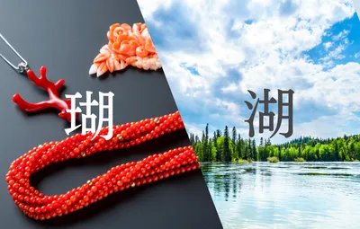 「瑚」の意味や由来は?名前に込められる思いや名付けの例を紹介!
