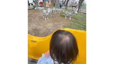 動物園×遊園地×収穫体験も！0歳連れでも楽しめた「むさしの村」