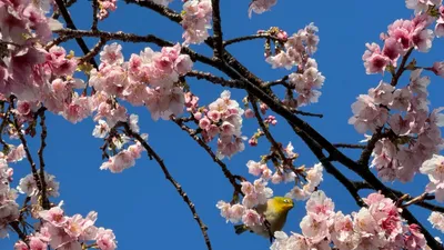 保育園？幼稚園？迷ったら読む！共働き世帯の入園体験談