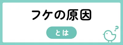 自分のフケの原因は?乾燥か皮脂かチェック!