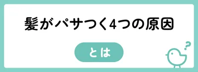 髪がパサつく4つの原因