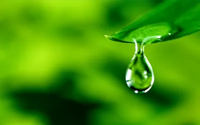 「雫」の意味や由来は?名前に込められる思いや名付けの例を紹介!