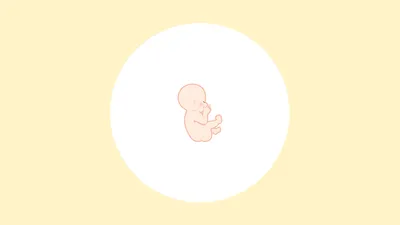 【医師監修】妊娠19週(5ヶ月)の妊婦・胎児の様子|過ごし方や気になる症状