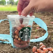 ポトポト楽しい どんぐり拾い最強グッズ