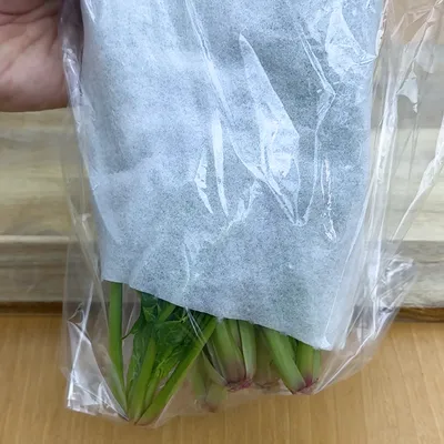 にんじん・ほうれん草・ブロッコリーの保存方法