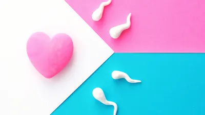 【医師監修】赤ちゃんの性別はいつわかる？男の子・女の子それぞれの判明時期は？