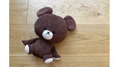 毎月同じくまのぬいぐるみを並べて撮影。大きさの違いで成長がわかります