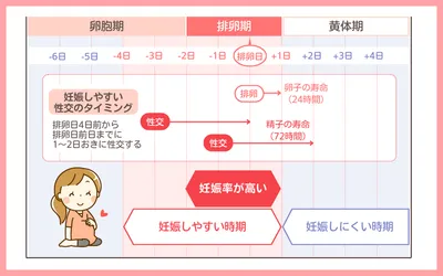 【体験談あり】排卵日が遅れても妊娠できる?周期がズレる原因・対処法も解説