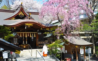 東京でおすすめの子宝神社7選!子授け祈願できるのはどこ?ご利益や歴史なども紹介
