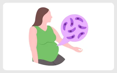 妊婦はとろろを食べてもいい?妊娠中にとろろを食べるときの注意点やメリットについて解説