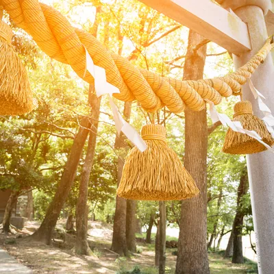 誰と?いつ行く?戌の日の安産祈願について