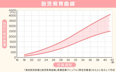 W00706_胎児発育曲線グラフ