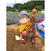 掘って、触って、食べて楽しむ！保育士がすすめる親子の芋掘り体験