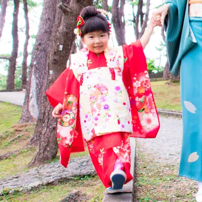 七五三の筥迫(はこせこ)って?意味やおすすめ6選も!