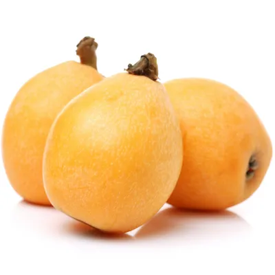 【管理栄養士監修】離乳食のびわ|いつから始める?